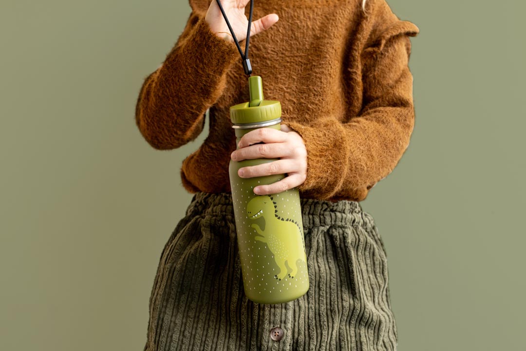 Nerūdijančio plieno gertuvė 500 ml - ponas dinozauras